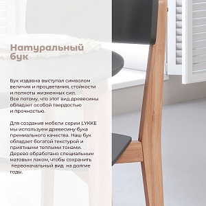 Комплект эргономичных стульев SKYLAND LYKKE CR-2, антрацит/бук 45х46.5х90 см